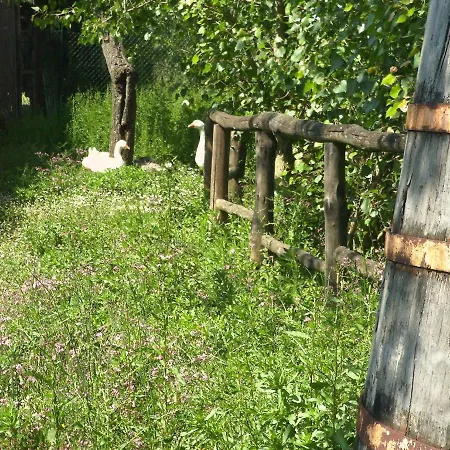Bauernhof Agriturismo I Macchiaioli Montevettolini