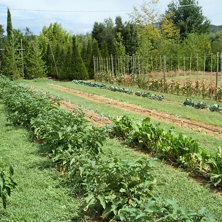 Agriturismo I Macchiaioli Montevettolini