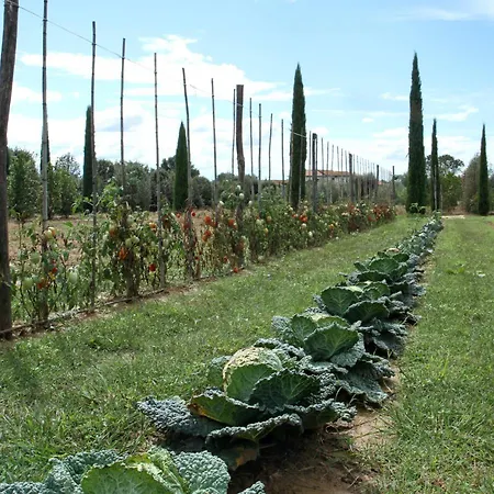 Agriturismo I Macchiaioli Montevettolini