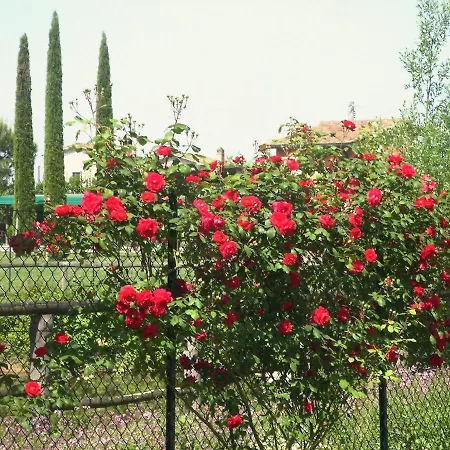 Agriturismo I Macchiaioli *